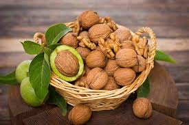کمک ترکیه برای تولید گردوی مقاوم به سرمازدگی در اردبیل
